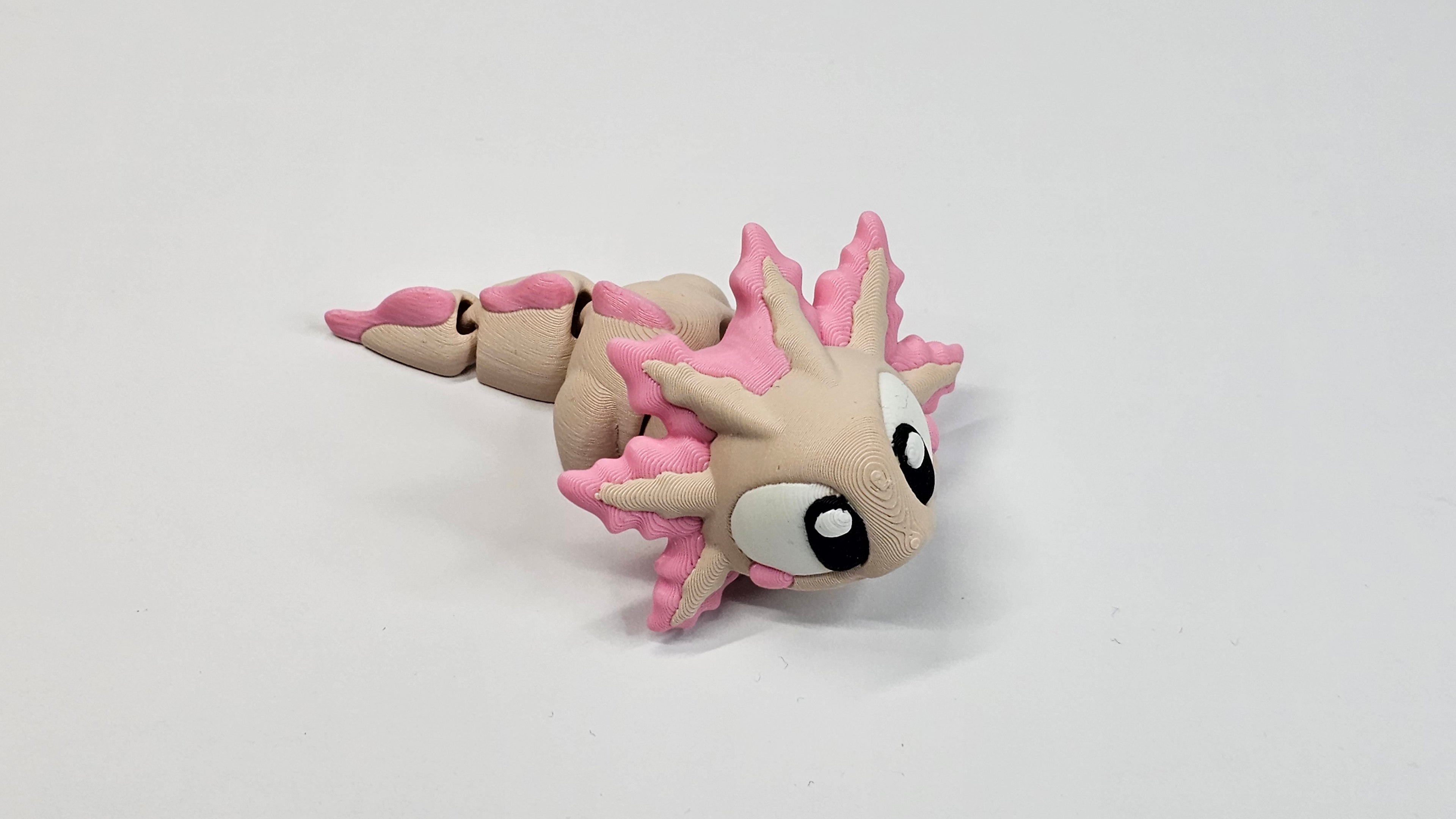Axolotl