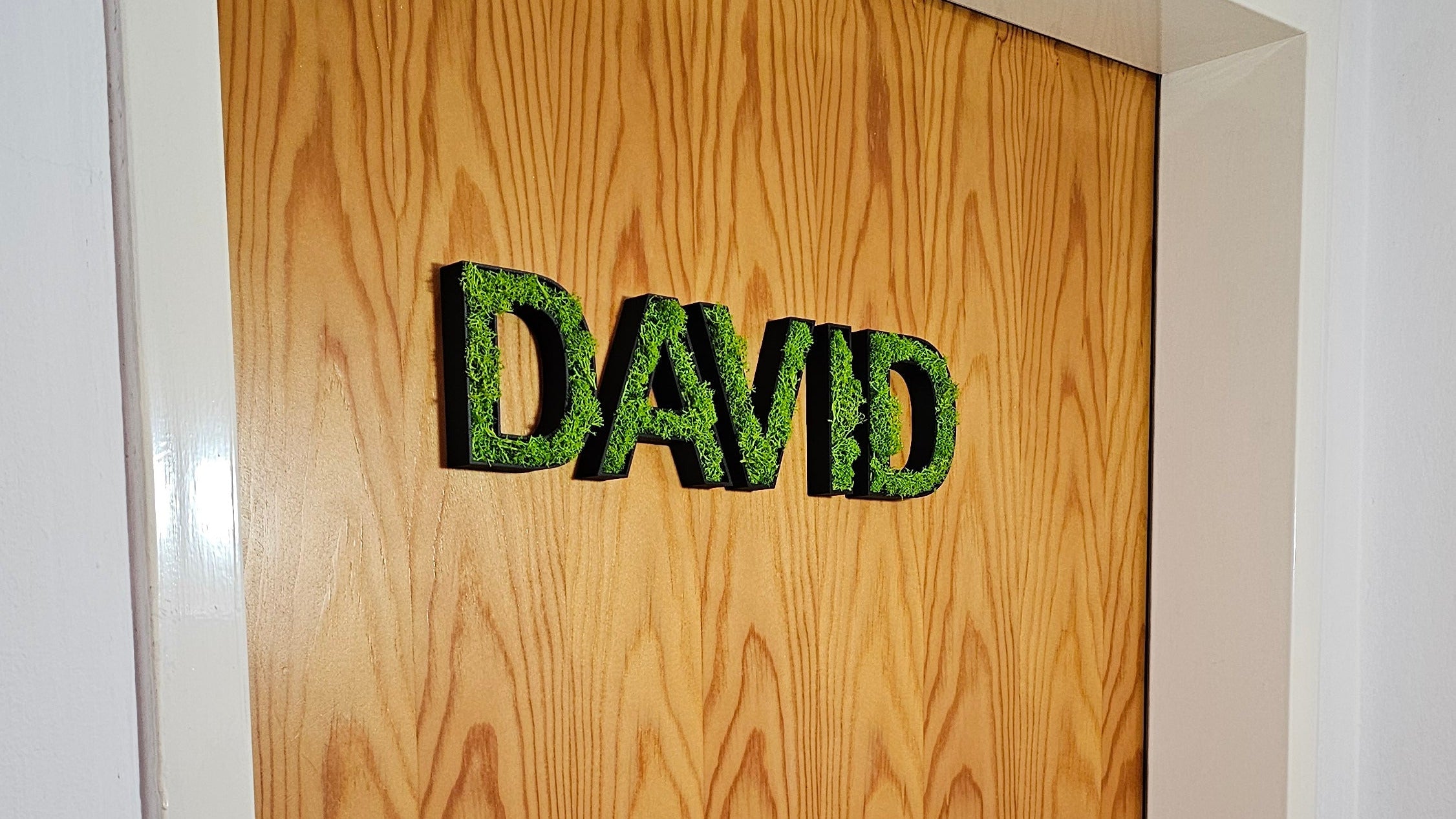 Moosbuchstaben 3D – Buchstaben mit Rentiermoos | Wanddekoration