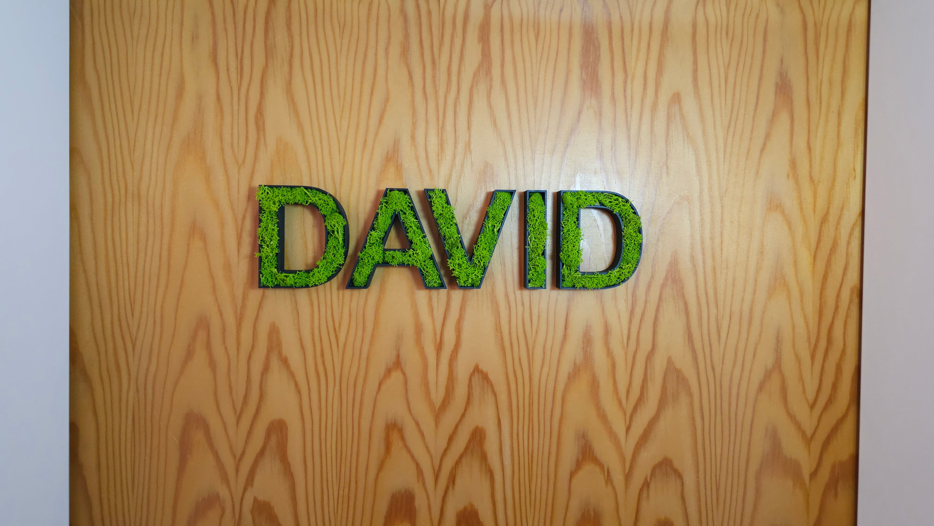 Moosbuchstaben 3D – Buchstaben mit Rentiermoos | Wanddekoration