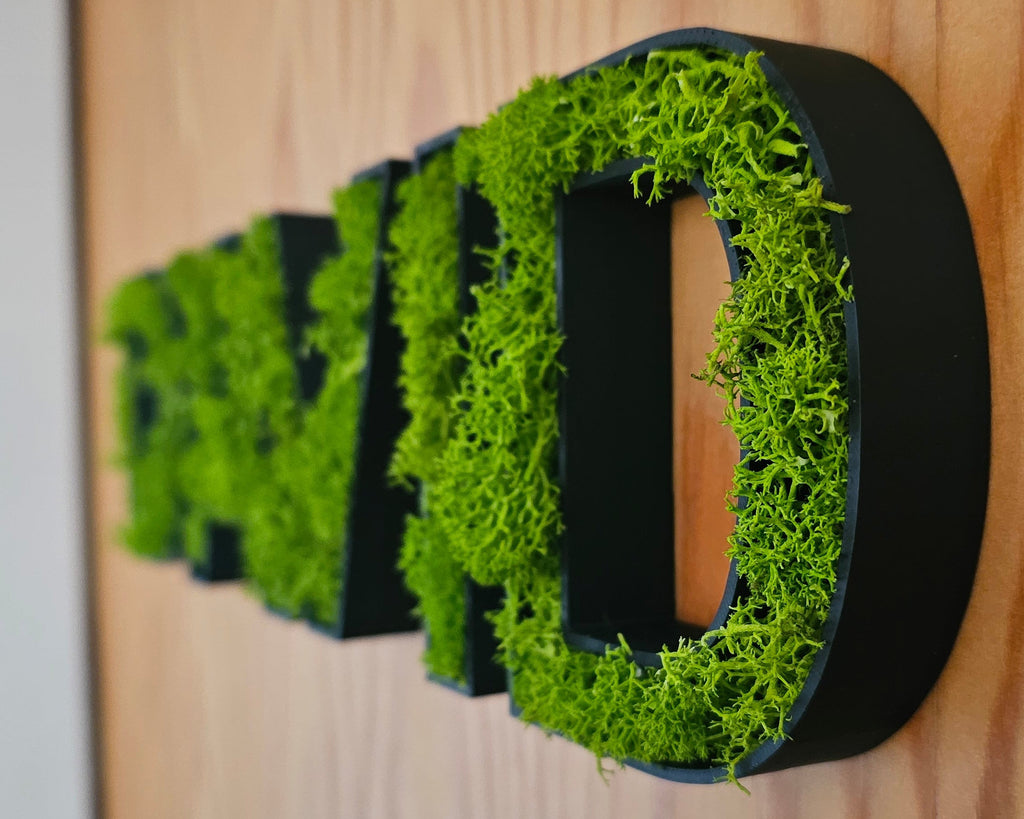 Moosbuchstaben 3D – Buchstaben mit Rentiermoos | Wanddekoration