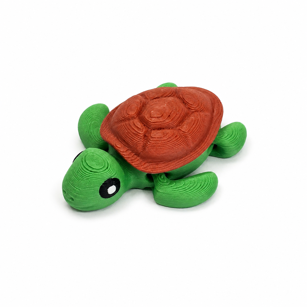 tortoise