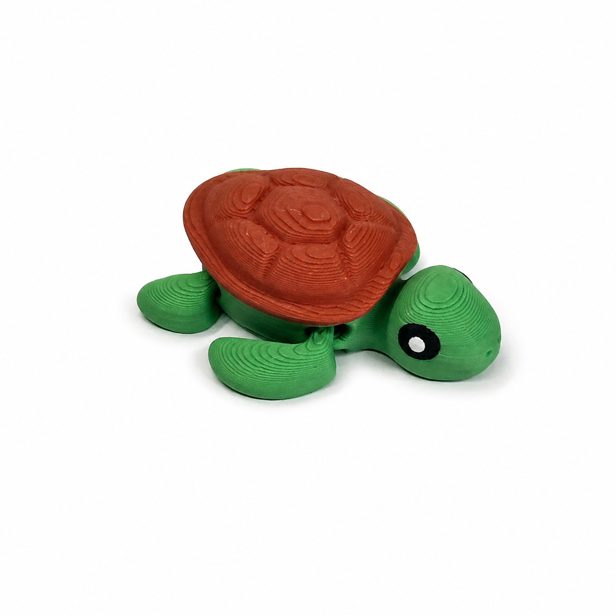 tortoise