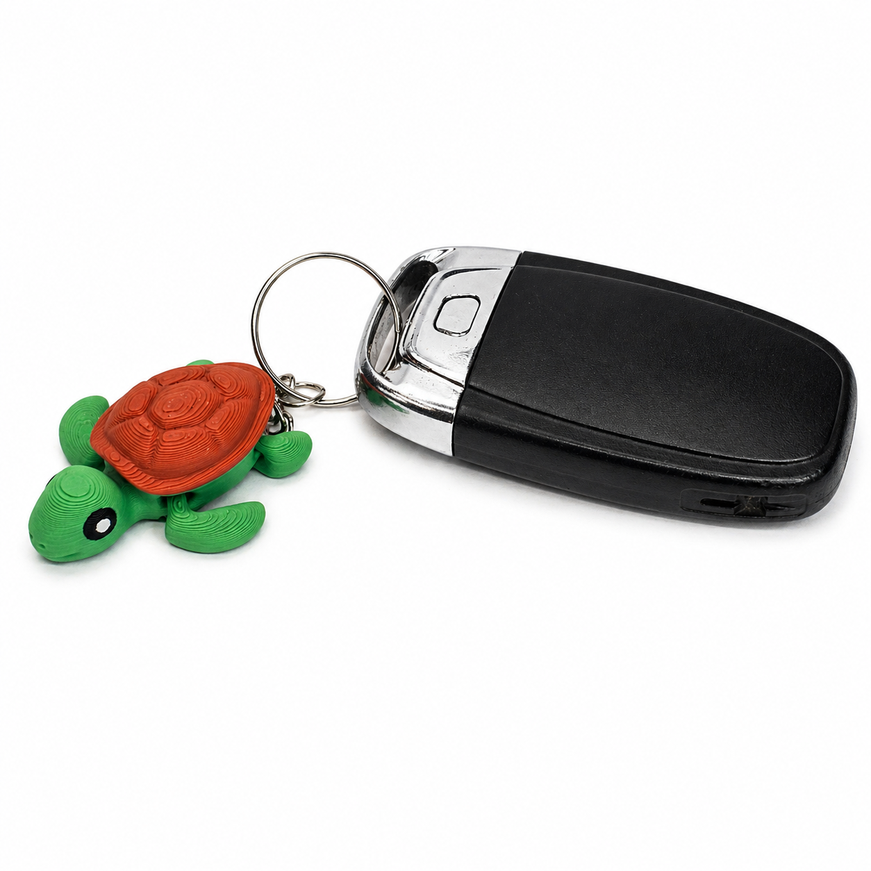 tortoise