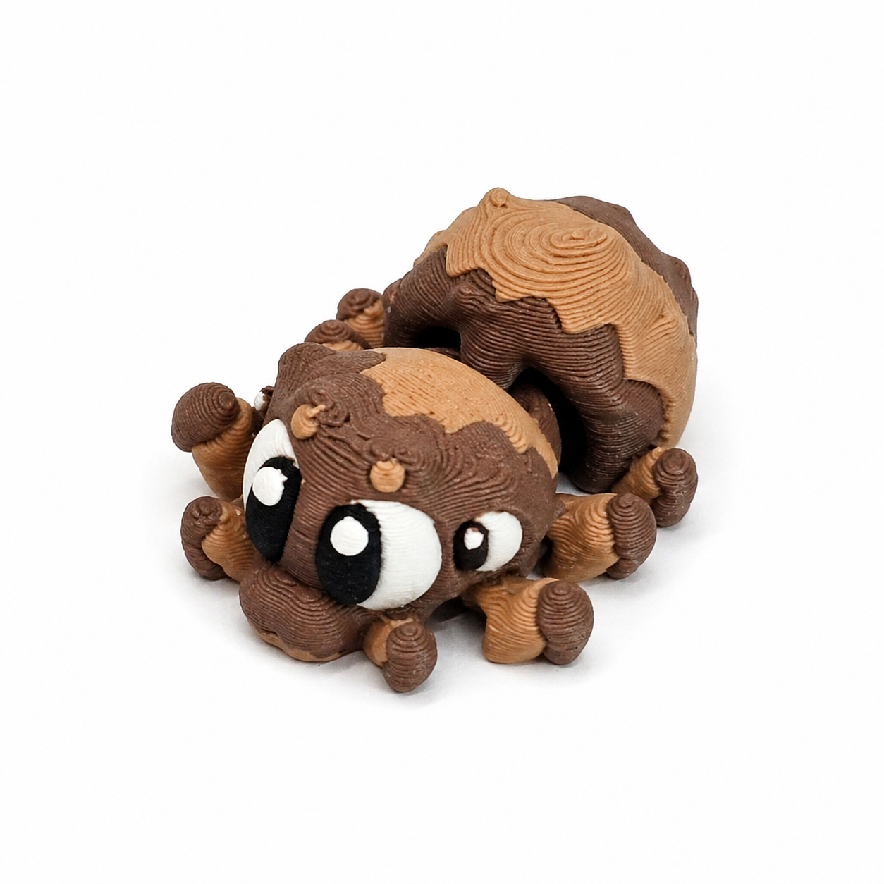 spider